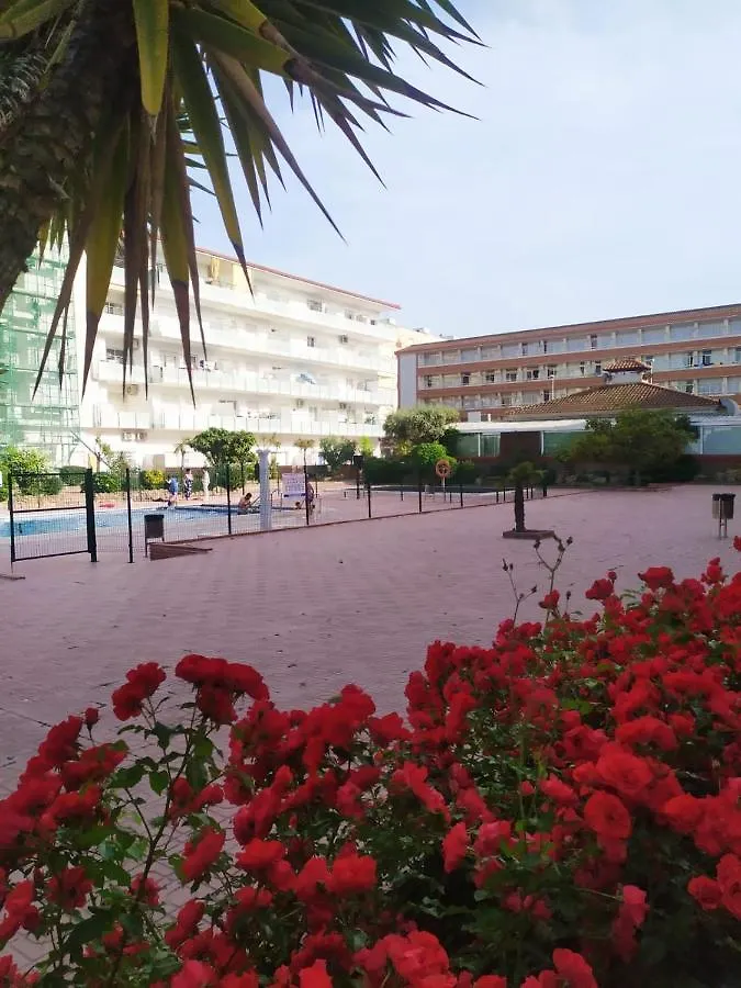 בלאנס Alegre Apto Con Piscina, A 300M De La Playa. 0*,  ספרד