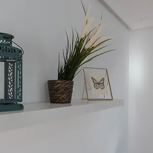 La Gitanilla Terrace Cádiz